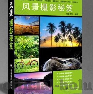 91 果冻传媒-91果冻传媒，数字时代的创意与娱乐新风尚