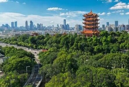 成人免费视频亚洲-成人娱乐的边界与文化反思，亚洲视角下的成人免费视频探讨