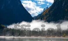 大象传媒入口 dx-探索大象传媒入口DX，数字时代下的文化传播新篇章