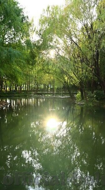 浪荡人妻攻略系统-浪荡人妻攻略系统的隐秘世界