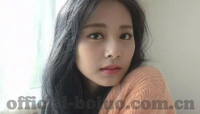 麻豆91入口-揭开麻豆91之谜，探索网络成人影片的入口与真实性