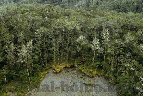 麻豆高清视频-当代网络文化新视野，解析麻豆高清视频现象