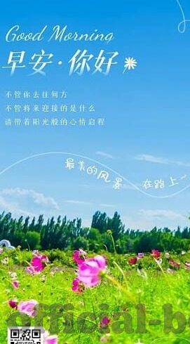 麻豆视频沈芯语-去探索与成长，麻豆视频沈芯语的多元领域之旅
