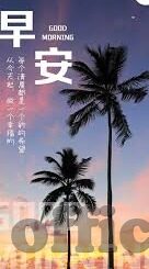麻豆约拍app正规吗-深入探讨，麻豆约拍APP的正规性分析与用户指南