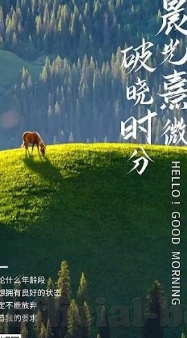 糖心vlog下载安装ios-探索糖心Vlog的iOS魅力，从下载到安装的轻松指南