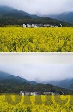 www糖心vlog-探寻网络世界的甜蜜角落，www糖心vlog之旅