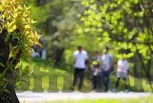 怡红院成人网播视频-怡红院，成人网播视频的虚拟世界
